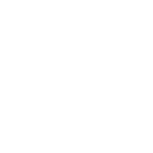 Foundation-icon